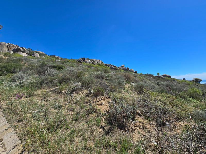 0 Bedroom Property for Sale in Blueberry Hill Western Cape